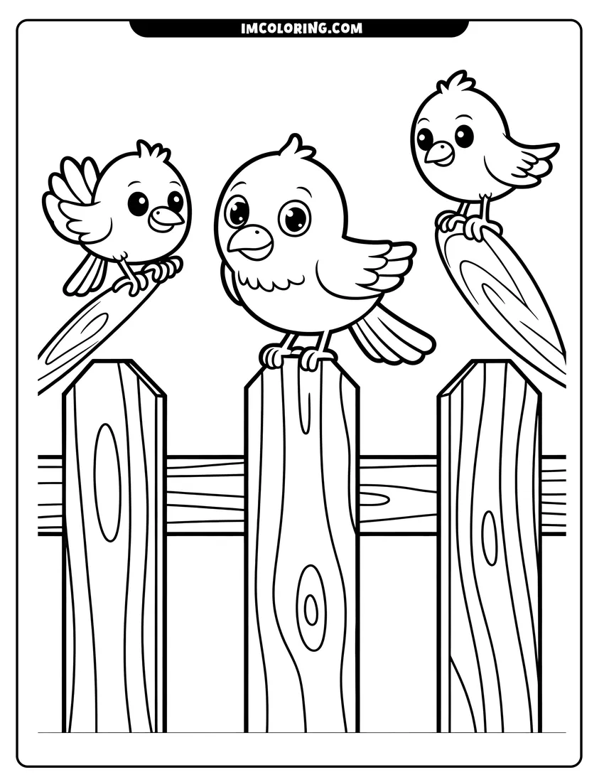 Doodle style coloring picture of Three cute cartoon birds with big eyes perching on top of a wooden garden fence