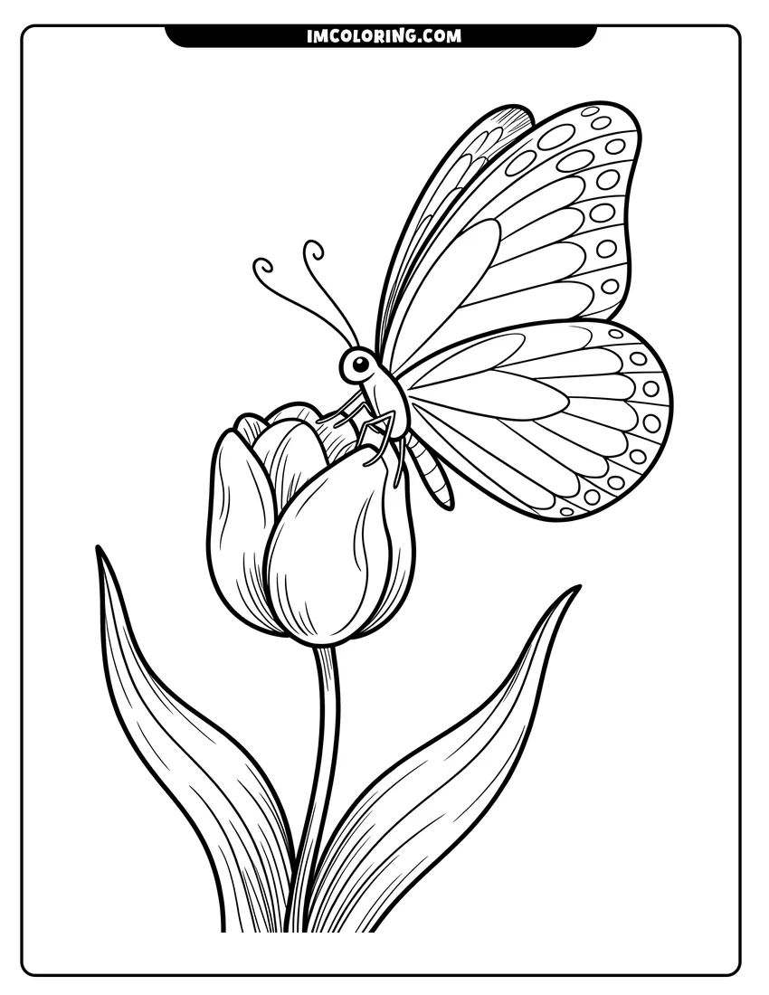 Outline drawing of A butterfly with patterned wings sitting on a closed tulip bud with long leaves in black and white
