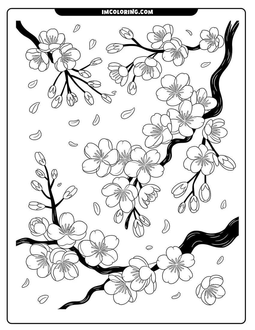 Doodle style coloring picture of Cherry blossom branches with delicate flowers and falling petals in a black and white line art style