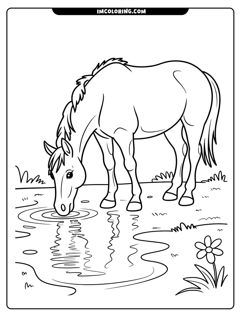 Coloring page of A horse drinking water from a pond with ripples and a small flower in the grass