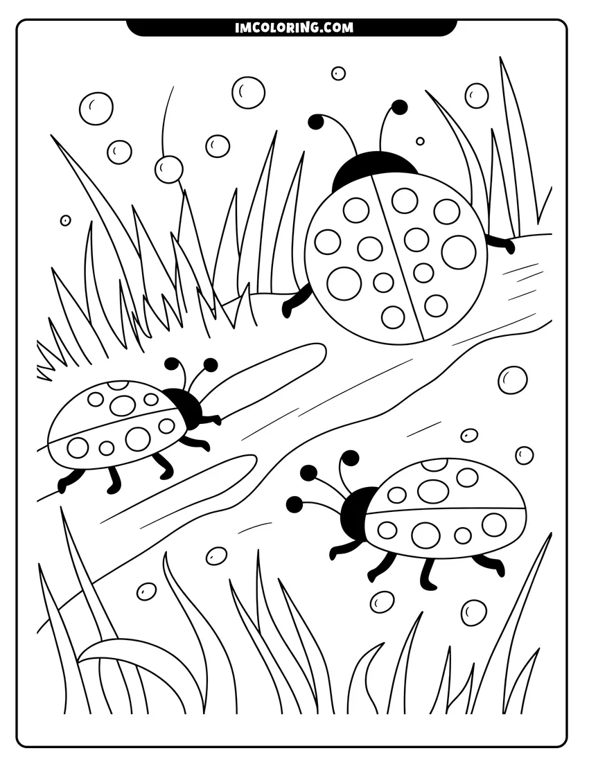 Vector style outline of Three spotted ladybugs with antennae crawl along blades of grass and branches under a bubbly sky