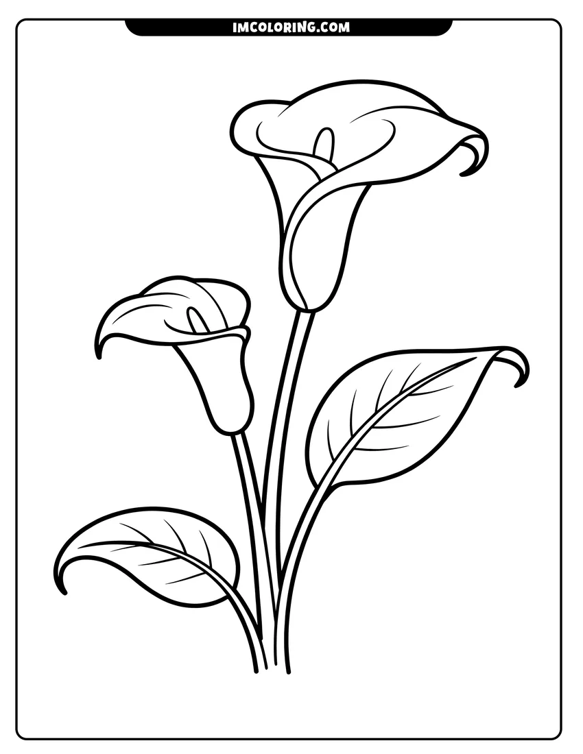 Free to print drawing of Two calla lilies blooming with large green leaves and long stems in a simple black and white outline