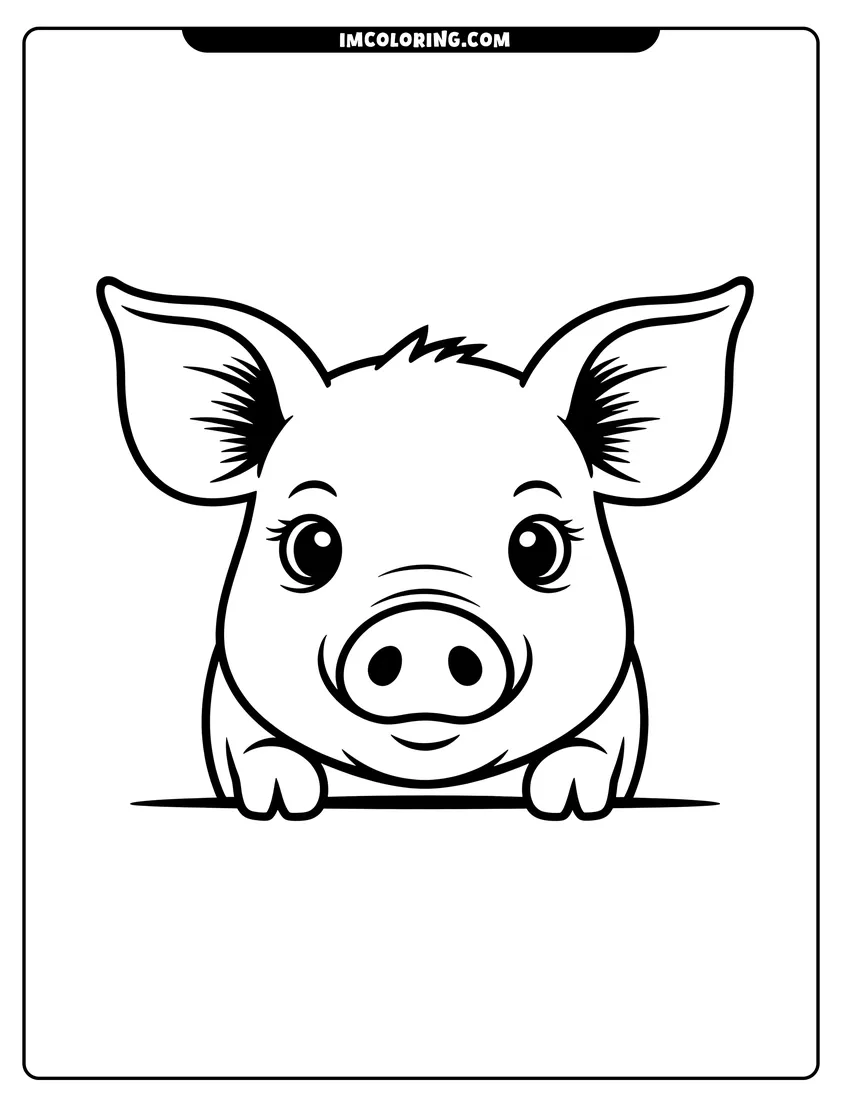 Doodle style coloring picture of A cute baby pig peeking over a horizontal line with large ears and a happy expression