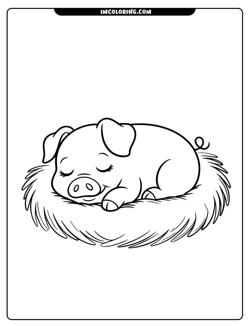 Vector style outline of A cute baby pig sleeping peacefully curled up in a nest of soft straw