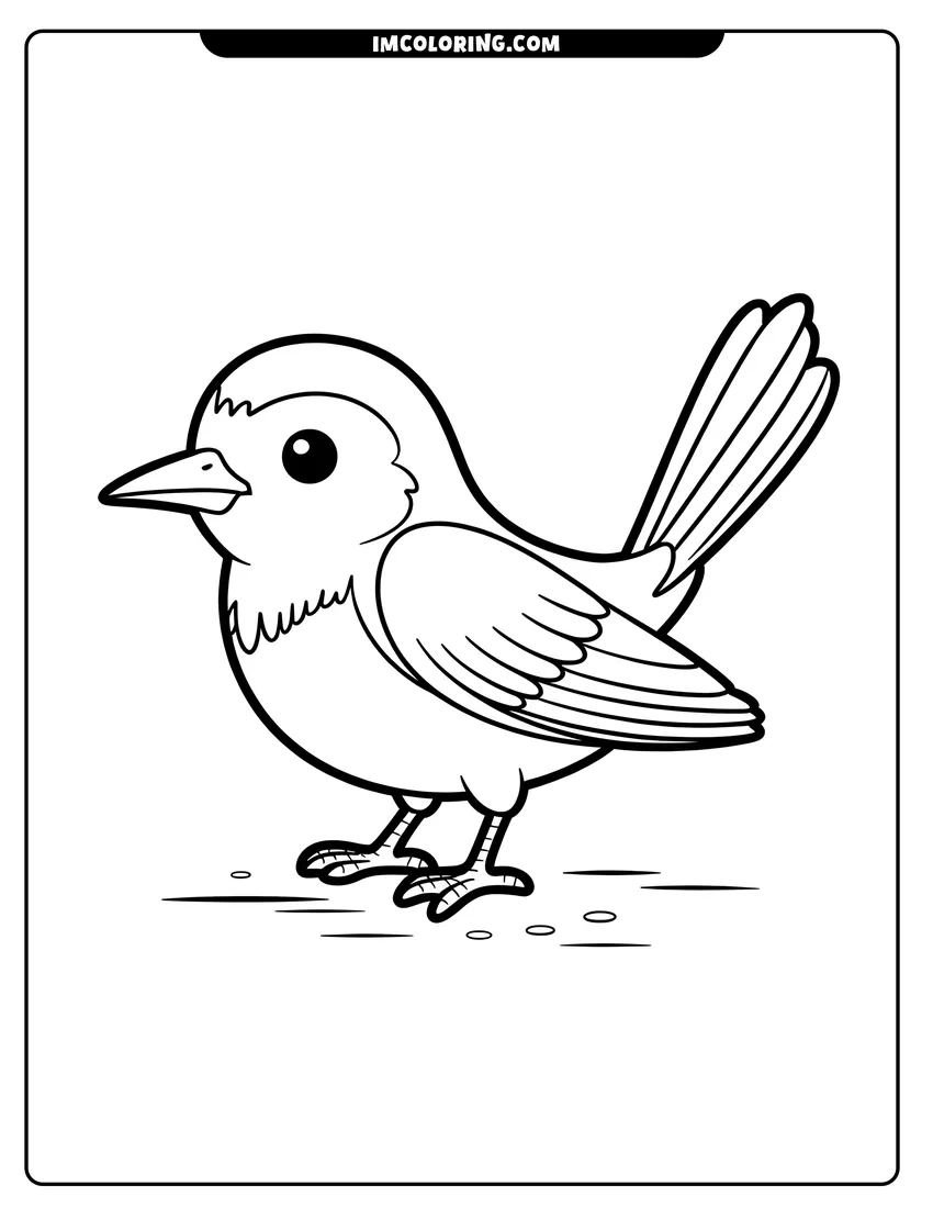 Coloring page for kids: A simple line drawing of a small bird with a long tail standing on the ground