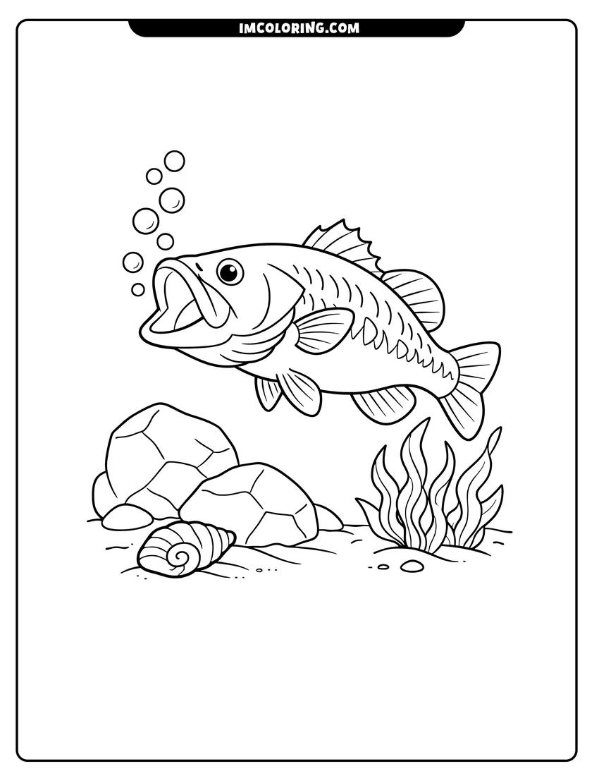 Easy-to-color Bass swimming past large rocks and a seashell illustration