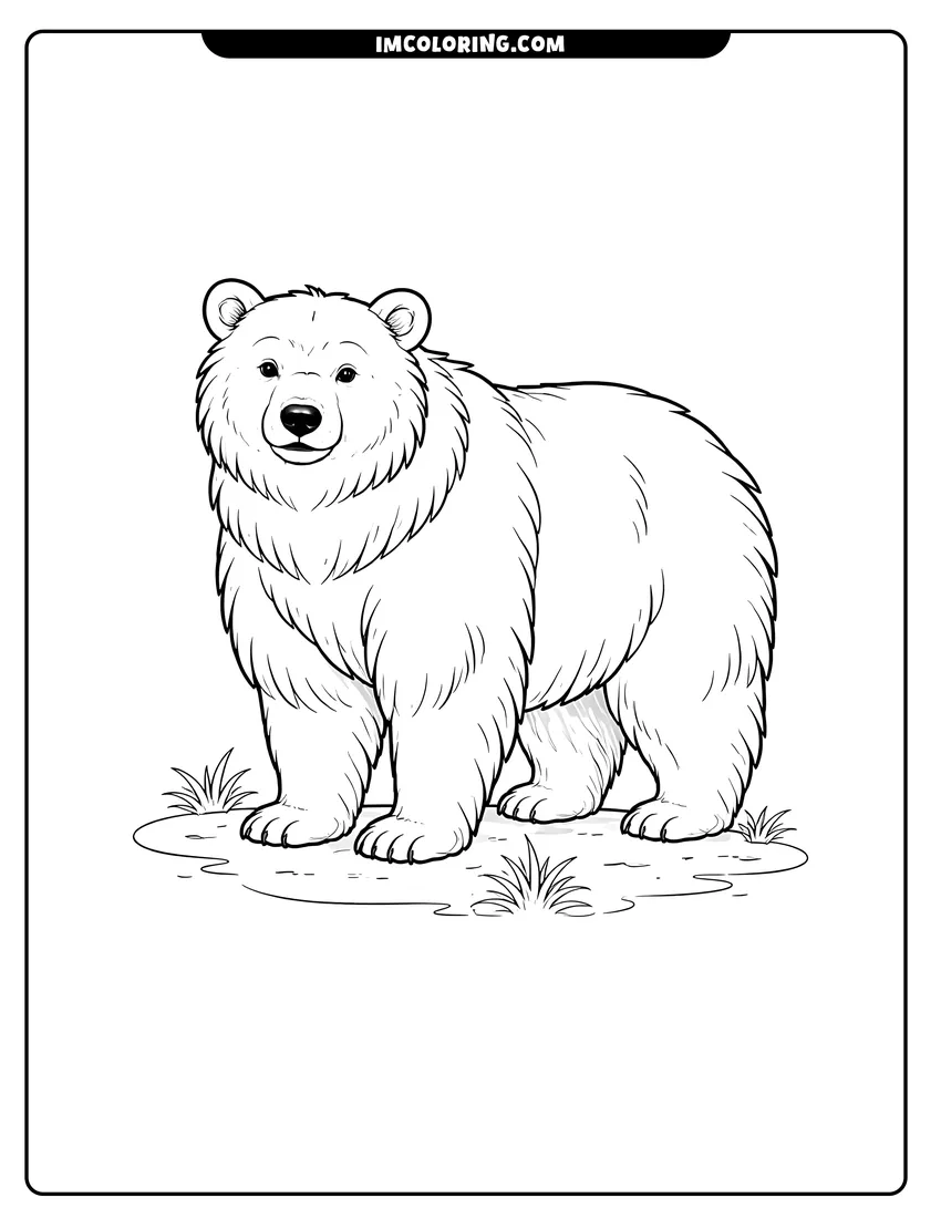 Outline of Simple shaggy grizzly bear standing on grass on a white background