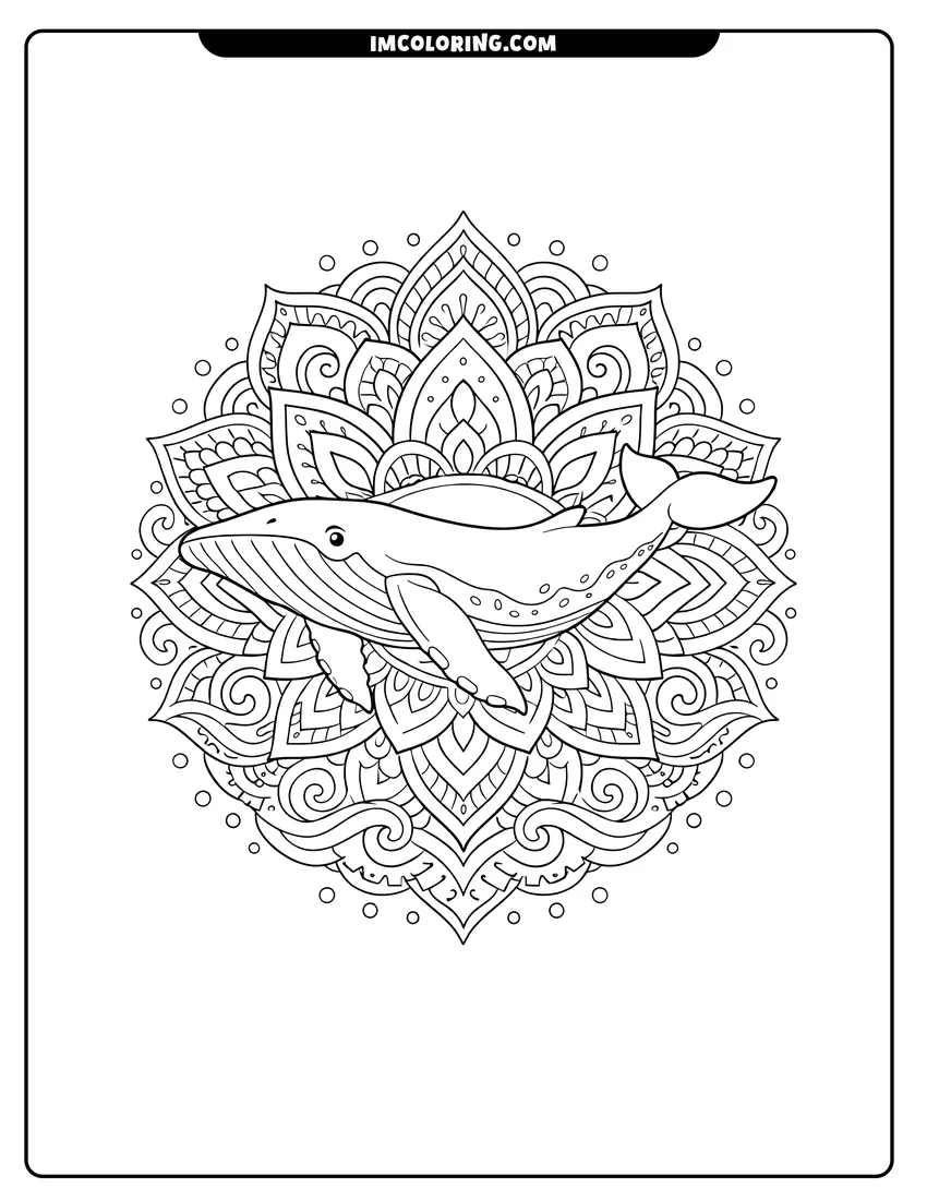 Simple sketch of Humpback whale swimming at the center of a detailed mandala for children