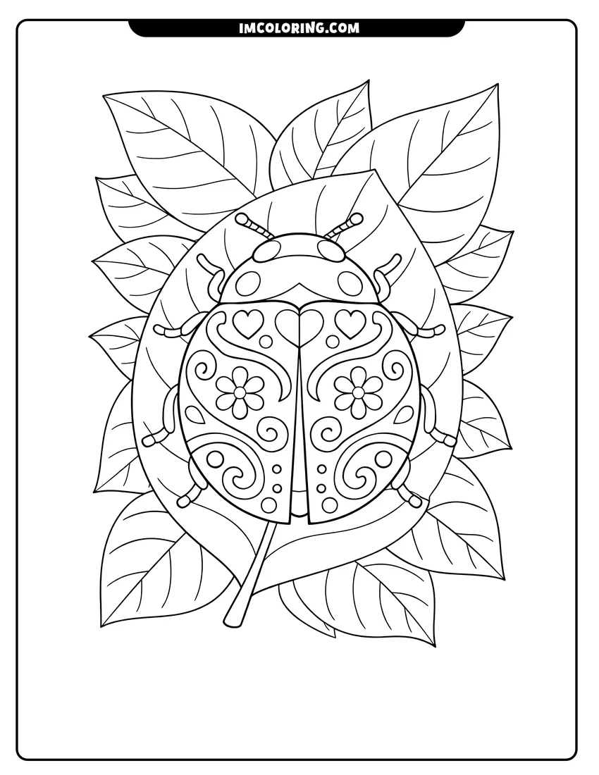 Illustration of Top view of a lady beetle with symmetrical patterns ready for painting