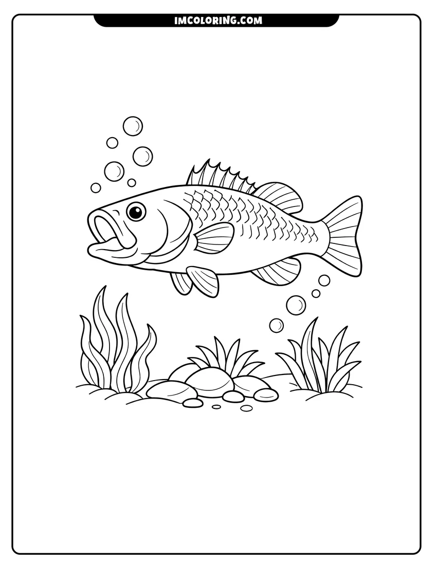 Kids activity sheet showing Solitary bass swimming near clumps of aquatic plants