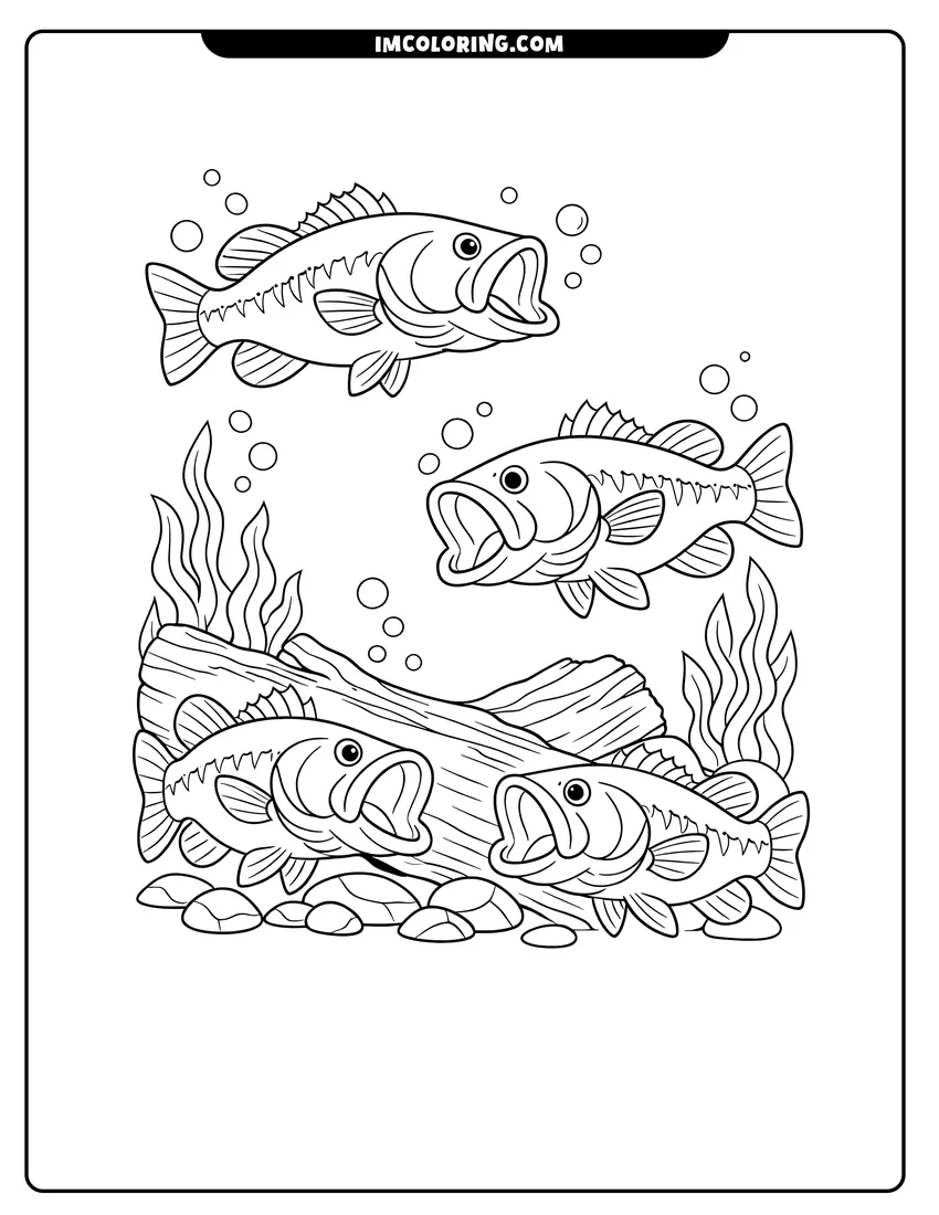 Three bass swimming around a sunken log drawing meant for coloring