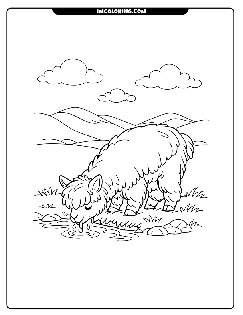 Cute Shaggy alpaca drinking water from a stream outline for coloring