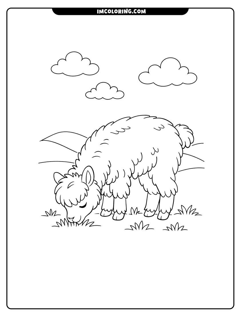 Printable outline of Shaggy furred alpaca grazing in a hilly meadow